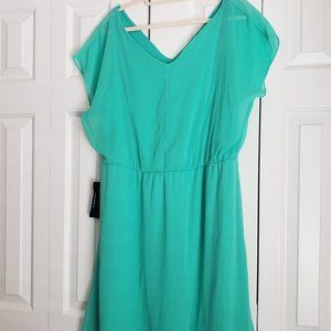 NEW The Limited Sheer Mint Green Mini Dress in XL